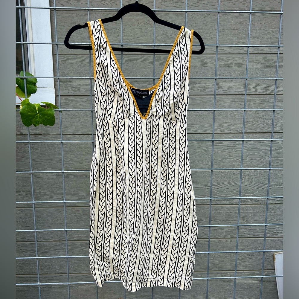 Vena Cava silk mini dress